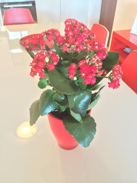 Baia Giardini Apartments מראה חיצוני תמונה